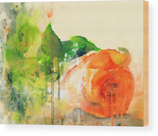 Rose Wood Print featuring the mixed media A Rose By Any Other Name by Ann Leech