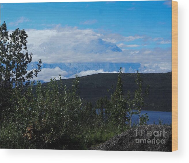 Denali Wood Print featuring the photograph A View of Denali Over Wonder Lake by L Bosco