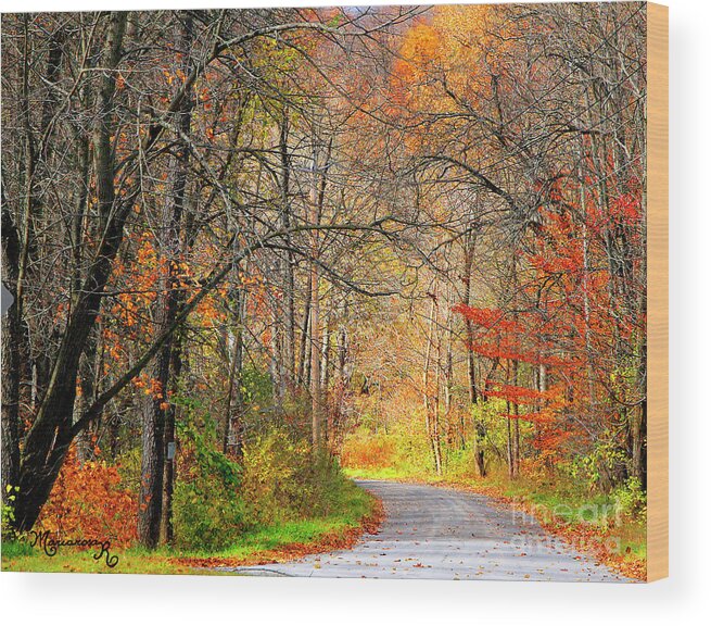 Landscape Wood Print featuring the photograph A Walk in the Woods by Mariarosa Rockefeller