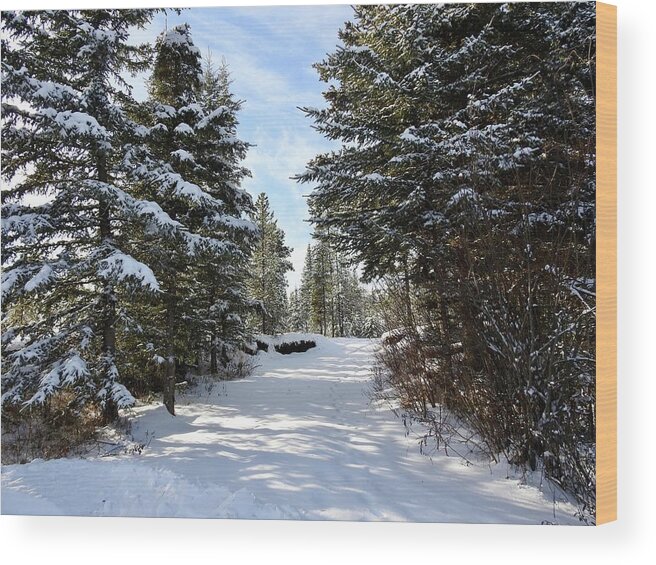 A Winter Trail Wood Print featuring the photograph A Winter Trail by Nicola Finch