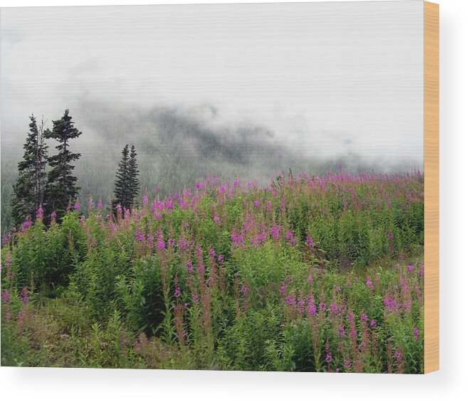 Alaska Wood Print featuring the photograph Alaska Mountain Wildflowers by Karen Zuk Rosenblatt