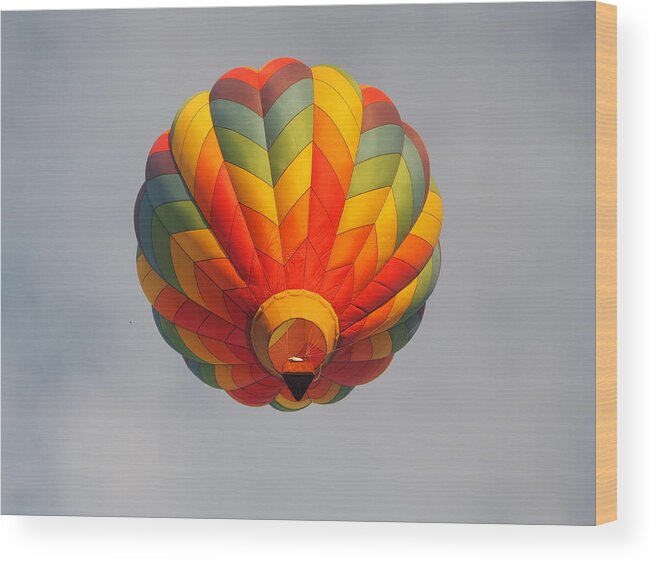 Albuquerque Wood Print featuring the photograph Albuquerque International Balloon Fiesta 4 by L Bosco