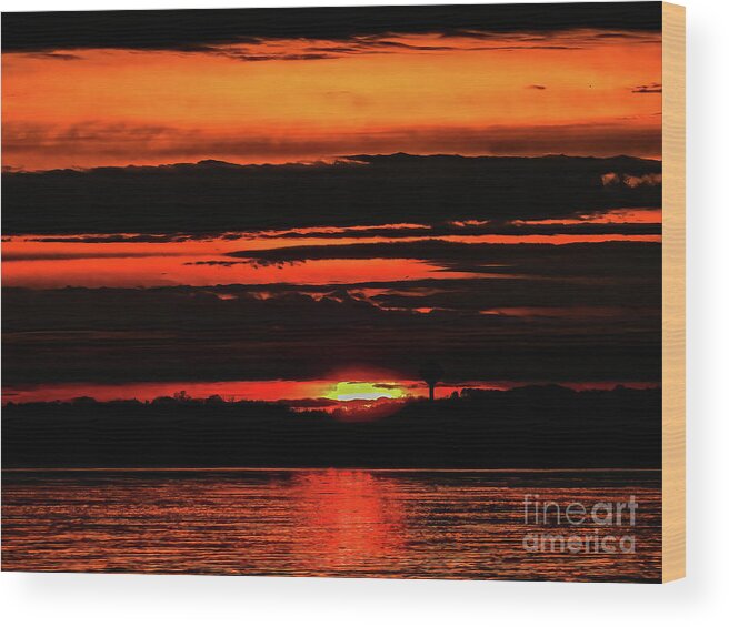 Digital Photography Wood Print featuring the photograph All A Glow by Eunice Miller