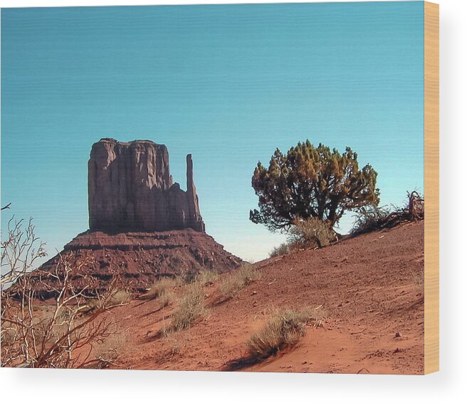 Monument Wood Print featuring the photograph American Southwest. by Louis Dallara