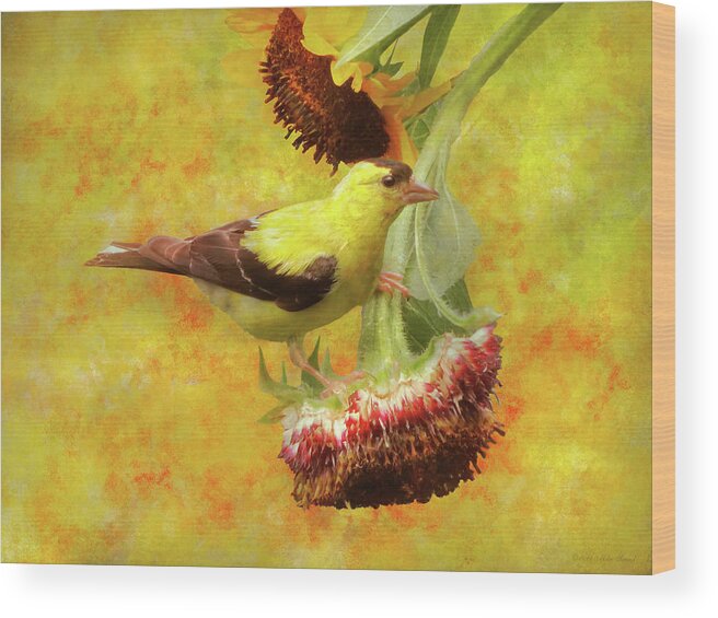 Bird Wood Print featuring the photograph Animal - Bird - For the birds by Mike Savad
