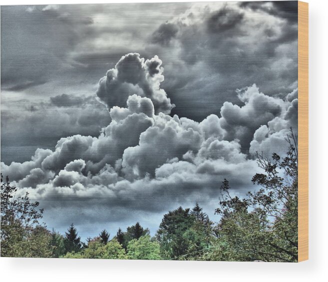 Clouds Wood Print featuring the photograph Approaching Rainstorm by Christopher Reed