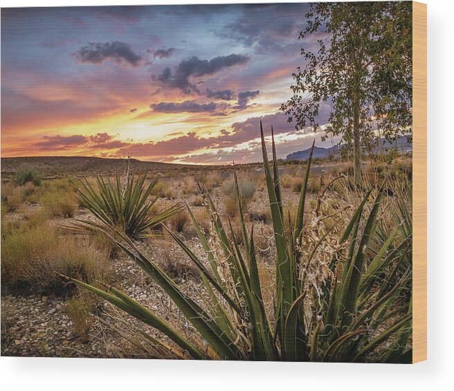 Lake Powell Wood Print featuring the photograph Arizona Desert Sunset by Bradley Morris