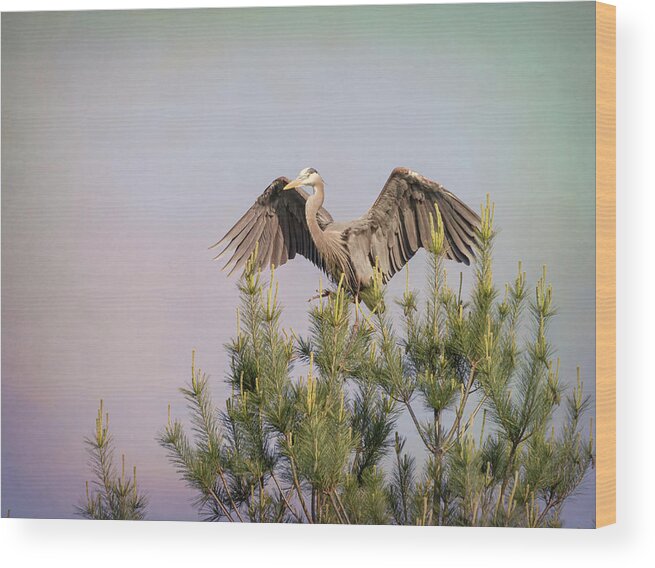 Great Blue Heron Wood Print featuring the photograph Artistic Great Blue Heron 2019-1 by Thomas Young