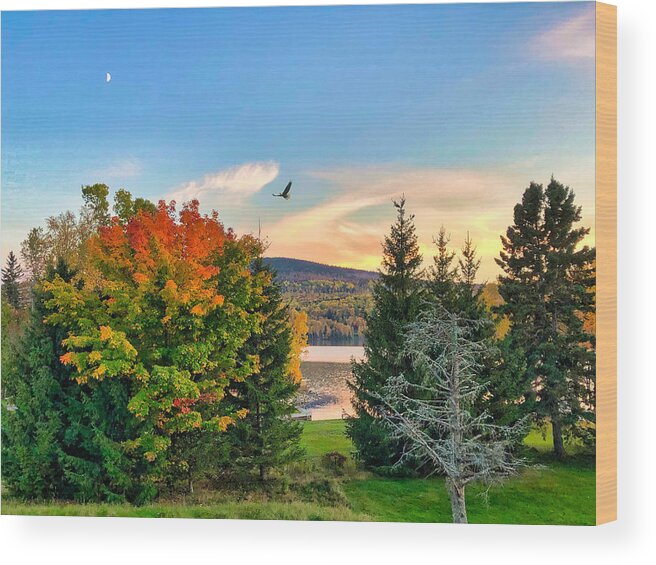 Lake Wood Print featuring the photograph Atumn Moon and Eagle by Russel Considine