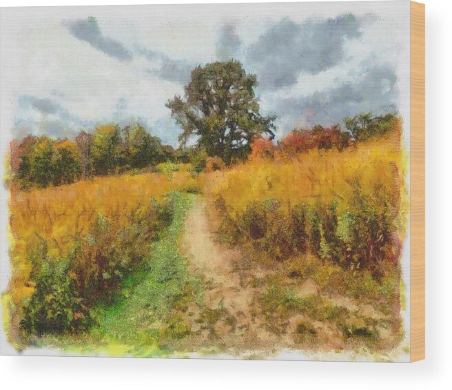 Field Wood Print featuring the mixed media Autumn Afternoon on the Trail by Christopher Reed