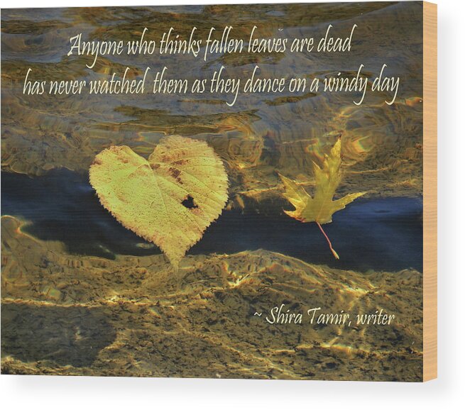 Autumn Wood Print featuring the photograph Autumn Falling Leaves and Quote by Nancy Griswold