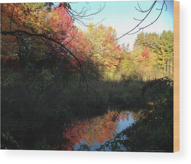 Salem Wood Print featuring the photograph Autumn in Salem by Roxy Rich
