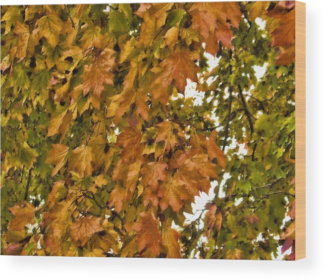 Autumn Wood Print featuring the mixed media Autumn Leaves by Christopher Reed