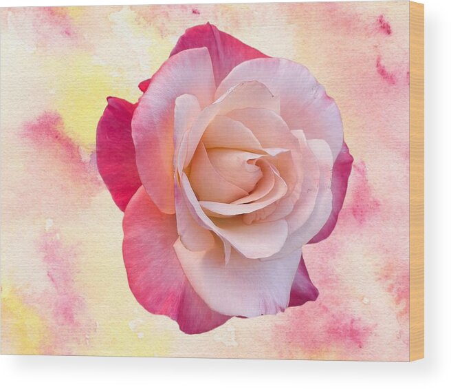 Rose Flower Pink Yellow Background Wood Print featuring the digital art Awesome Pink Rose by Kathleen Boyles