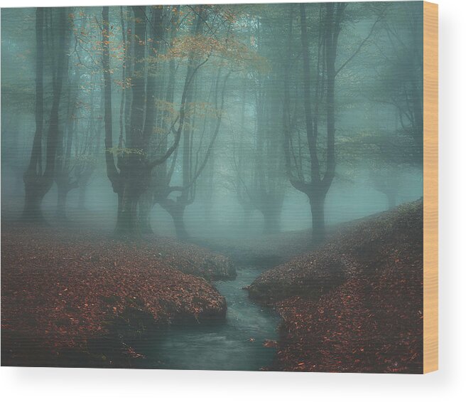 Autumn Wood Print featuring the photograph Back to Otzarreta by Mikel Martinez de Osaba