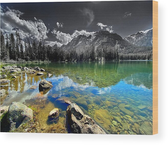 Landscape Wood Print featuring the digital art Backcountry Meditation by Devin Wilson
