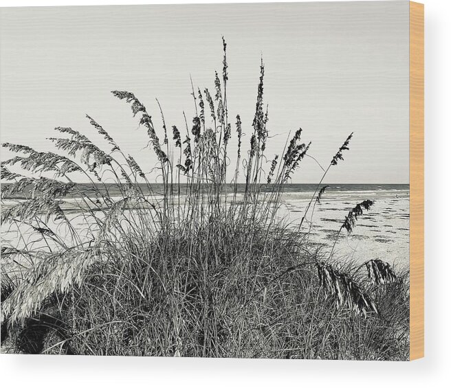 St Augustine Beach Florida Usa John Anderson Wood Print featuring the photograph Beach Time, amongst the Grasses by John Anderson