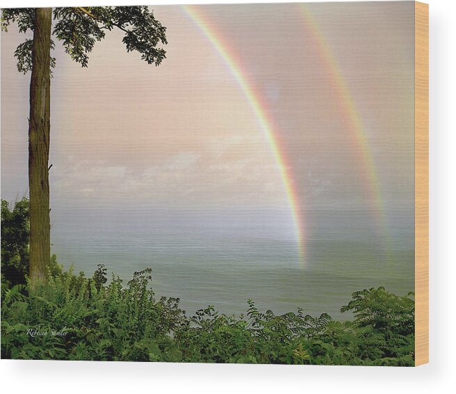 Rainbow Wood Print featuring the photograph Better Days Ahead by Rebecca Samler