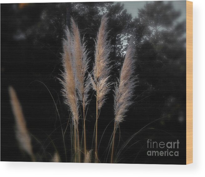 Grass Wood Print featuring the photograph Blowing in the Wind by Judy Hall-Folde