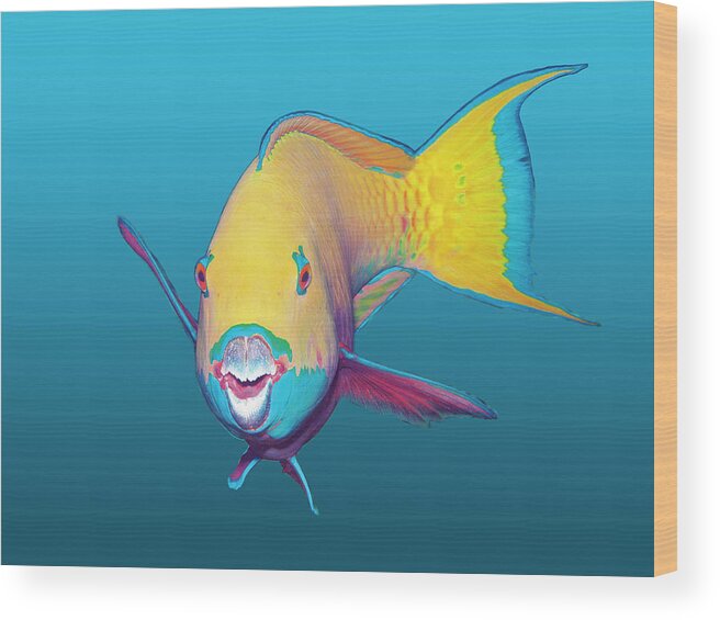 Heavybeak Parrotfish Wood Print featuring the mixed media Parrotfish - Brightly colored on gradient blue background - by Ute Niemann