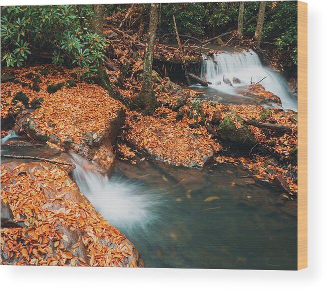Fall Wood Print featuring the photograph Buck Mountain Creek Autumn Falls by Jason Fink