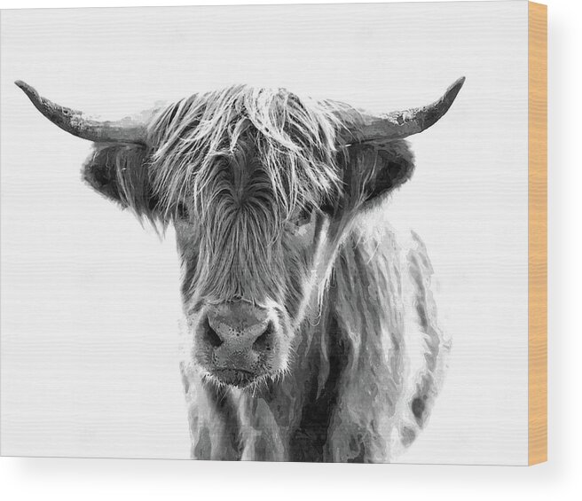 Bull Wood Print featuring the photograph Bull Headed by Andrea Kollo