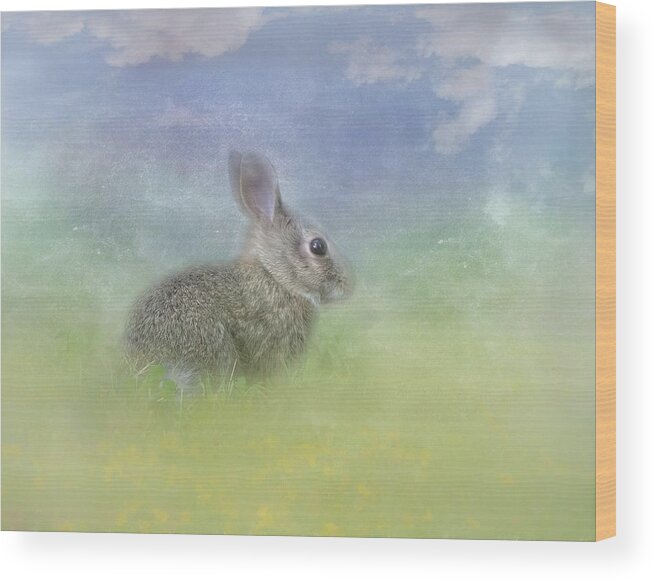 Bunnies Wood Print featuring the photograph Bunny in the Grass by Marjorie Whitley