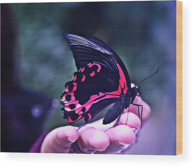 Abstract Wood Print featuring the photograph Butterfly In Hand by David Desautel