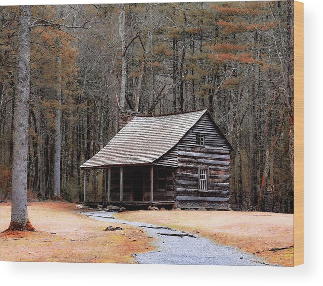 Cabin Wood Print featuring the photograph Cabin Getaway by Rick Nelson