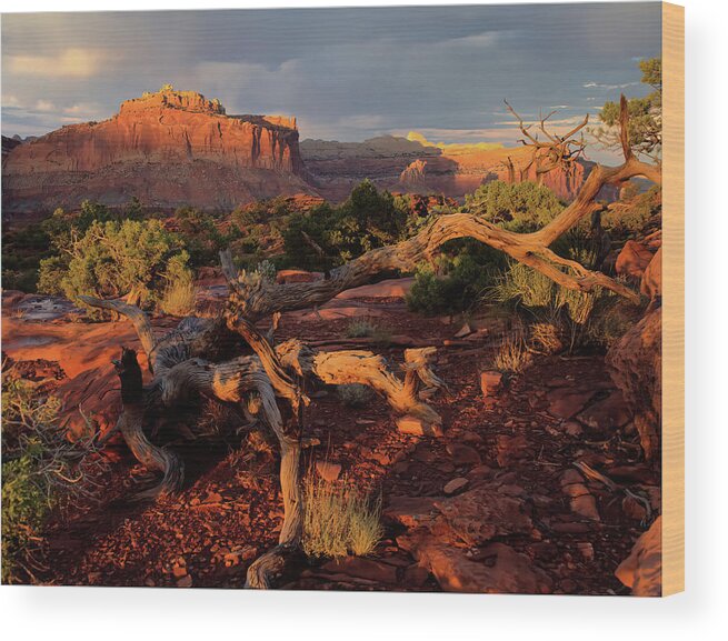 Capitol Reef Wood Print featuring the photograph Capitol Reef Sunset by Bob Falcone