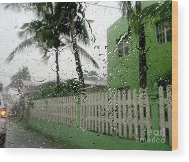 Rain Wood Print featuring the photograph Caribbean Blessings by Mafalda Cento