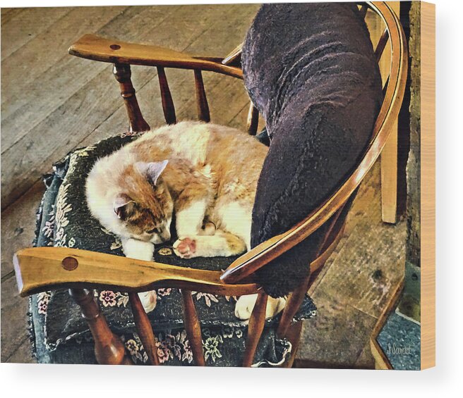Cat Wood Print featuring the photograph Cat Taking a Nap by Susan Savad