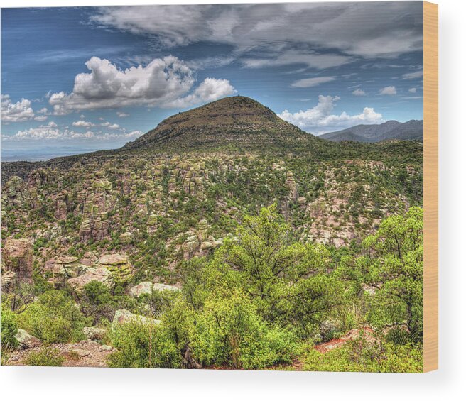 Fine Art Wood Print featuring the photograph Chiricahua National Monument by Robert Harris