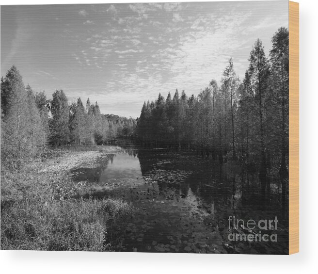 Wetland Wood Print featuring the photograph Cliff Stephens Park Wetland in Black and White by L Bosco