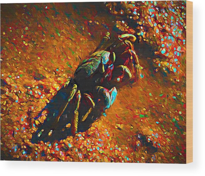 Ghost Crab Wood Print featuring the mixed media Colorful Ghost Crab Cairns Australia by Joan Stratton
