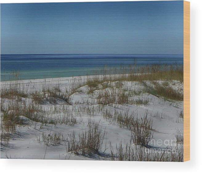Gulf Wood Print featuring the photograph Colors of Paradise by Judy Hall-Folde