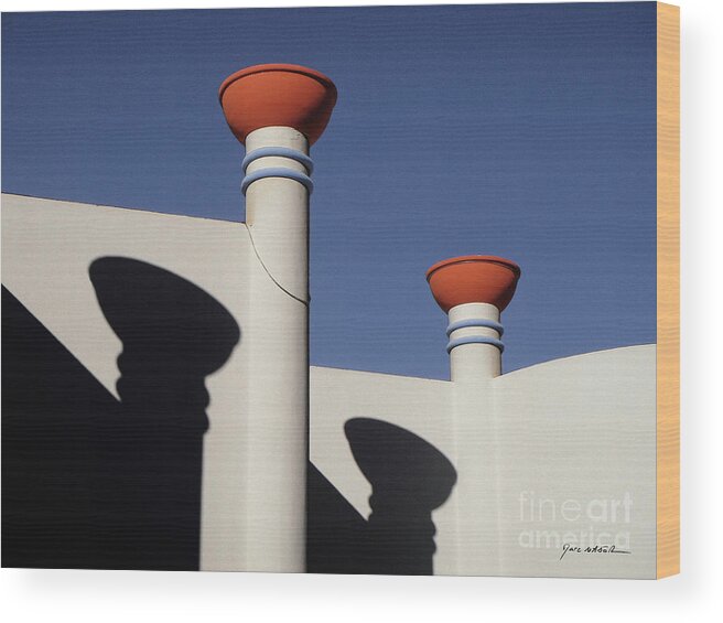 Architecture Wood Print featuring the photograph Columns and Shadows by Marc Nader