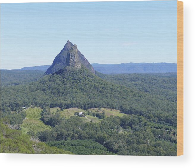 Landscape Wood Print featuring the photograph Coonowrin and Beerwah by Maryse Jansen