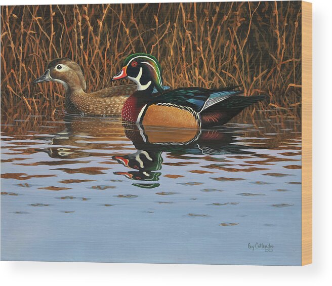 Wood Ducks Wood Print featuring the painting Curious Woodies by Guy Crittenden