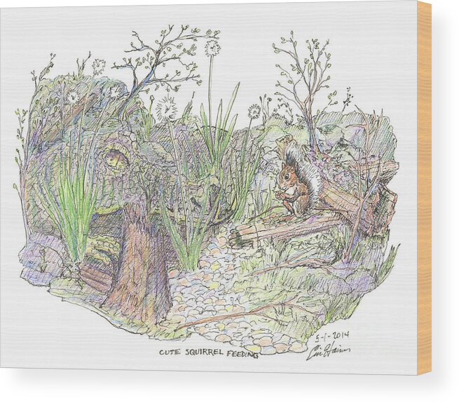 Squirrel Wood Print featuring the drawing Cute Squirrel Feeding by Eric Haines