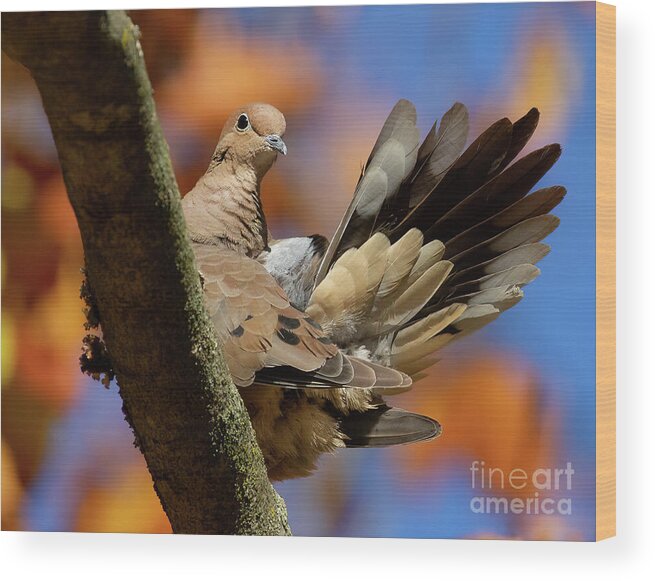 Bird Wood Print featuring the photograph My Inner Turkey by Chris Scroggins