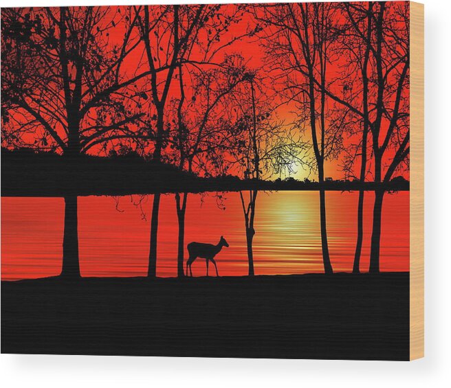 Deer Wood Print featuring the photograph Deer at Sunset by Andrea Kollo