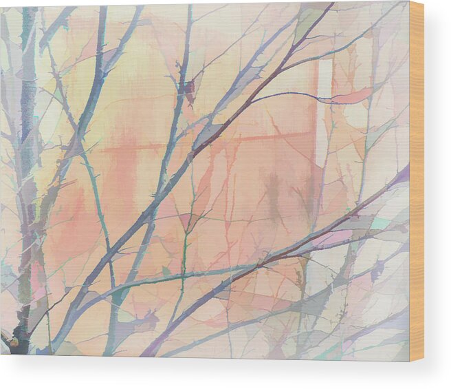 Photography Wood Print featuring the digital art Delicate Winter Limbs by Terry Davis