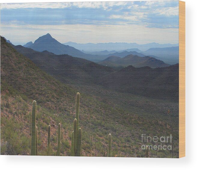 Desert Wood Print featuring the photograph Desertscape 1 by Ken Kvamme