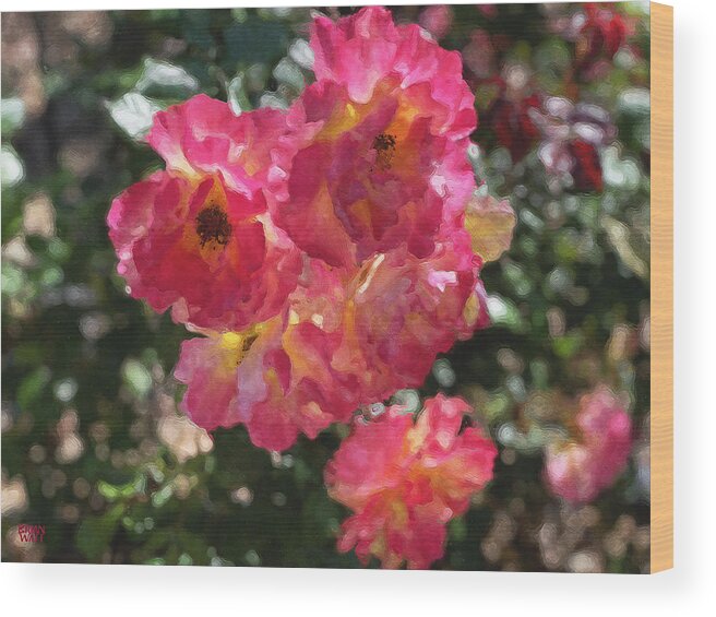 Roses Wood Print featuring the photograph Disney Roses Five by Brian Watt
