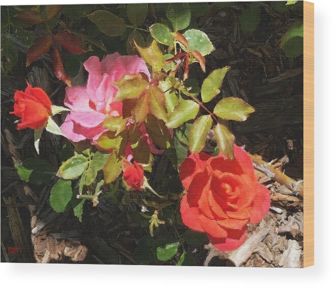 Roses Wood Print featuring the photograph Disney Roses Four by Brian Watt