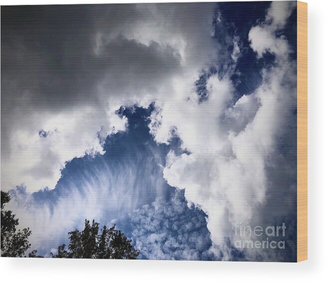 Clouds Wood Print featuring the photograph Dispute by J Hale Turner