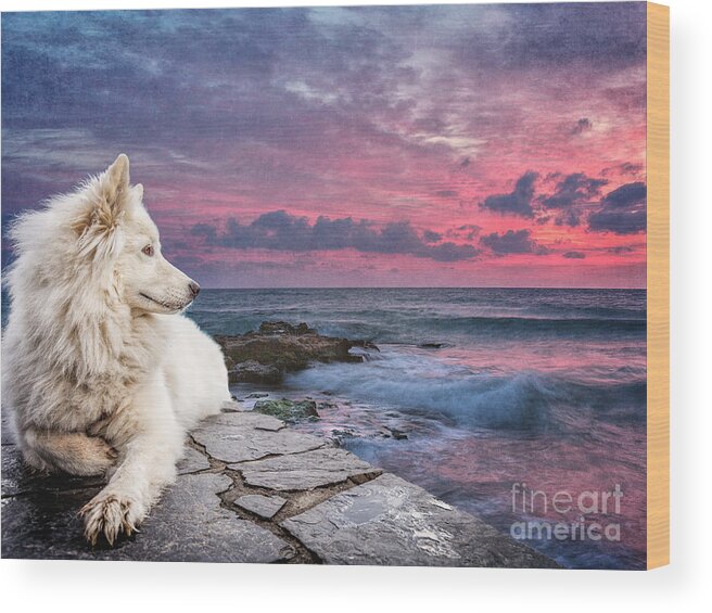 Texture Wood Print featuring the digital art Dog At Sunset by Phil Perkins