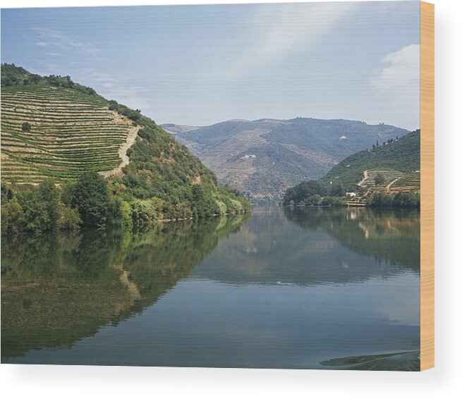 Scenics Wood Print featuring the photograph Douro river and valley by Image Source