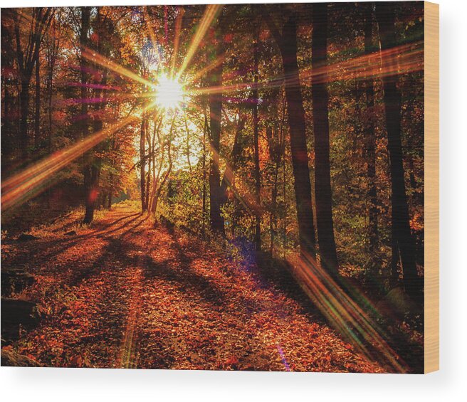 Moody Wood Print featuring the photograph Drama on the Trail by Marianne Campolongo